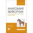 russische bücher: Зеленевский Николай Вячеславович - Анатомия животных. Соматические системы. Практикум. Учебное пособие