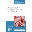 russische bücher: Сай Ю.В. - Анатомия и физиология человека. Словарь терминов и понятий. Учебное пособие