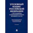 russische bücher:  - Уголовный кодекс Российской Федерации с постатейными разъяснениями Пленума Верховного Суда РФ