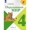 russische bücher: Плешаков Андрей Анатольевич - Окружающий мир. 4 класс. Учебник в 2-х частях. Часть 1