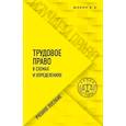russische bücher: Шавин В. А. - Трудовое право в схемах и определениях
