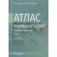 russische bücher: Самылина И.А., Потанина О.Г. - Фармакогнозия. Атлас в 3-х томах. Том 1. Общая часть. Термины и техника микроскопического анализа