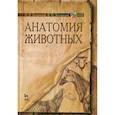 russische bücher: Зеленевский Николай Вячеславович - Анатомия животных. Учебное пособие