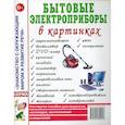 russische bücher:  - Бытовые электроприборы в картинках. Наглядное пoсобие для педагогов, логопедов.