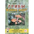 russische bücher: Шорыгина Т.А. - Грибы. Какие они?