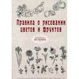 russische bücher:  - Правила о рисовании цветов и фруктов.