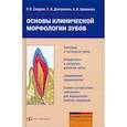 russische bücher: Самусев Р.П., Дмитриенко С.В., Краюшкин А.И. - Основы клинической морфологии зубов: Учебное пособие