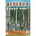 russische bücher: Шорыгина Т.А. - Деревья. Какие они? Книга для воспитателей, гувернеров и родителей