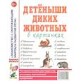 russische bücher:  - Детеныши диких животных в картинках. Наглядное пособие для педагогов, логопедов, воспитателей и родителей