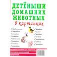 russische bücher:  - Детеныши домашних животных в картинках. Наглядное пособие для педагогов, логопедов, воспитателей и родителей.
