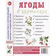 russische bücher:  - Ягоды в картинках. Наглядное пособие для педагогов, воспитателей, логопедов, родителей.