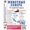 russische bücher:  - Животные севера в картинках. Наглядное пособие для педагогов, логопедов, воспитателей и родителей.