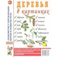russische bücher: Кулакова Н. - Деревья в картинках. Наглядное пособие для педагогов, логопедов, воспитателей, родителей