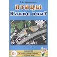 russische bücher: Шорыгина Т.А. - Птицы. Какие они? Знакомство с окружающим миром, развитие речи