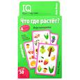 Умные игры с картами. Что где растет? Игра находилка