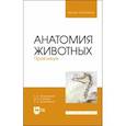 russische bücher: Зеленевский Николай Вячеславович - Анатомия животных.Практикум.Учебное пособие для вузов