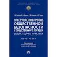 russische bücher: Чучаев Александр Иванович - Преступления против общественной безопасности и общественного порядка. Закон, теория, практика