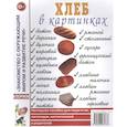 russische bücher:  - Хлеб в картинках. Наглядное пособие для педагогов, логопедов, воспитателей, родителей. А4.