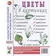 russische bücher:  - Цветы в картинках. Наглядное пособие для педагогов, воспитателей, логопедов, родителей.