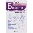 russische bücher: Заяц Р.Г., Рачковская И.В., Давыдов В.В., Бутвиловский В.Э. - Биология в таблицах, схемах и рисунках. Пособие для подготовки к ЕГЭ