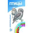 russische bücher: Рябицев В. - Птицы Среднего Урала.Воробьиные и неворобьиные:веер-определитель
