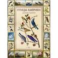 russische bücher: Одюбон Джеймс - Птицы Америки