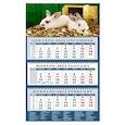 russische bücher:  - 2023 Календарь Год кролика - год процветания