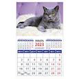 russische bücher:  - Календарь Год кота. Настоящ джентльмен на 2023 год