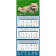 russische bücher:  - Календарь Год кота. Красавец в траве, на 2023 год