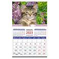 russische bücher:  - Календарь Год кота. Высоко сижу на 2023 год