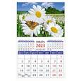 russische bücher:  - Календарь Пейзаж с ромашками и бабочкой на 2023 год