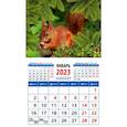 russische bücher:  - Календарь Белка с орехом, на 2023 год