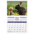 russische bücher:  - Календарь Год кролика. Длинноух грибник на 2023 год