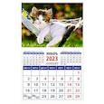 russische bücher:  - Календарь Год кота. Отдых в гамаке на 2023 год