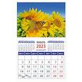 russische bücher:  - Календарь Бабочка на подсолнухе на 2023 год