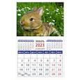 russische bücher:  - Календарь Год кролика. Забавный малыш в траве на 2023 год