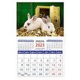 russische bücher:  - Календарь Год кролика - год процветания на 2023 год