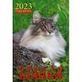 :  - 2023 Календарь Год кота. Просто кошки