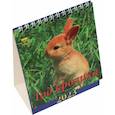russische bücher:  - Календарь Год кролика 2023