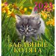 russische bücher:  - Календарь Год кота. Забавные котята, на 2023 год