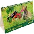 :  - 2023 Календарь Год кролика