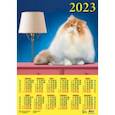 :  - Календарь на 2023 год. Год кота. Пушистый красавец