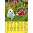 russische bücher:  - Календарь Год кролика. Дары лета на 2023 год