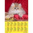 :  - Календарь на 2023 год. Год кота. Очаровательный малыш