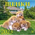 russische bücher:  - Календарь Щенки, на 2023 год