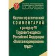 russische bücher:  - Научно-практический комментарий к разделу VI ТК РФ (главы 20-22) "Оплата и нормирование труда"