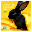 russische bücher:  - 12 фактов о символе года. Черный кролик. Календарь на 2023 год