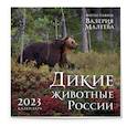 russische bücher:  - Дикие животные России. Авторские фотографии Валерия Малеева. Календарь настенный на 2023 год