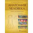 russische bücher: Никитюк Дмитрий Борисович - Анатомия человека. Атлас для педиатров