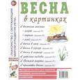russische bücher:  - Весна в картинках. Наглядное пособие для педагогов, логопедов, воспитателей и родителей